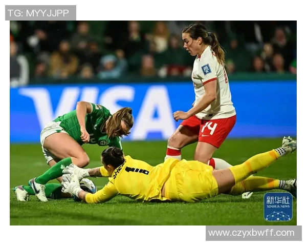 法国与爱尔兰友谊赛精彩回顾与战术分析，球迷热情高涨