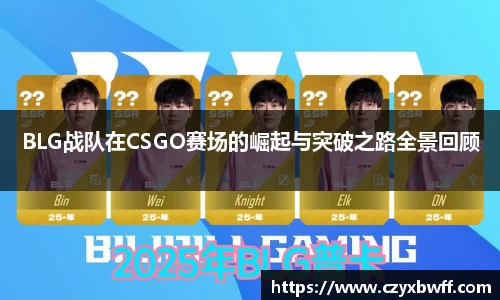 BLG战队在CSGO赛场的崛起与突破之路全景回顾